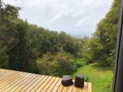 Top Castro Top Castro