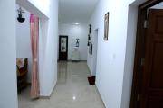 Top Alleppey