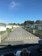 Decorate your own Christmas tree, free mulled wine and hamper