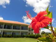 Top Ishigaki Island