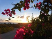 Top Ishigaki Island