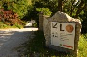 Top Isola del Piano
