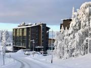 LEVI Chalets kolmio 65 m2 ylin kerros