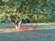 Top Saint-Pierre-de-Plesguen