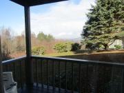 Cozt Downstairs Skyleaf D1 Condo