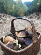 Top Mierzyn Top Mierzyn