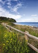 Top Port Townsend