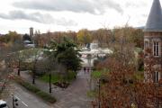 Top Colmar