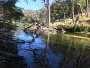 Top Coihaique Top Coihaique