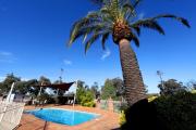 Top Dubbo