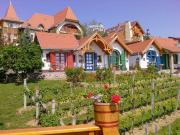 Bagoly Pincesor Fogado