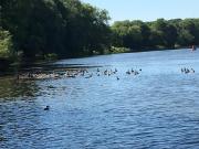 Apartment Lazoroski Arcen