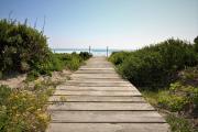 Top Paternoster