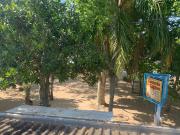 Top São Lourenço do Sul