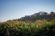 Top Liyang