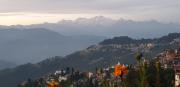 Top Darjeeling