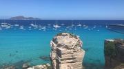 Top Favignana