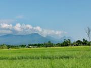 Ban Din Resort Chiang Rai