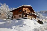 Les Saisies côté Bisanne appartement dans chalet LE Népal