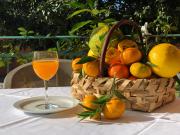 Villa Julia Villa Julia