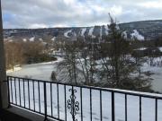 Top Tannersville