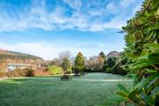 Top Peebles