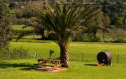 Apartamentos Vega Rodiles el campu