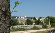 Top Alberobello