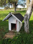 Top Sveti Ivan Žabno