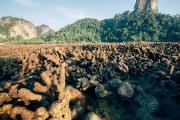 Top Railay Beach