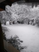 Departamento Laguna Blanca