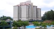 Top Lumut