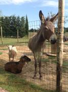 Top Castiglione del Lago