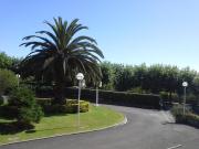Top Llanes