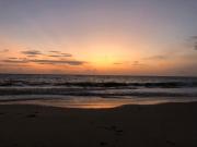 Top Alleppey