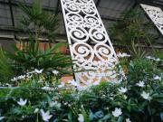 Top Khao Lak