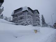 Apartamenty Amika