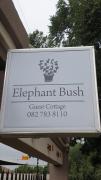 Elephant Bush Guest Cottage