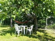 Top Cellino Attanasio