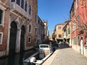 Top Venice