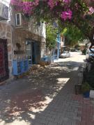 Boynuz Ağacı pansiyon