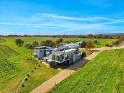 Top McLaren Vale