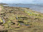 Top Porto de Galinhas