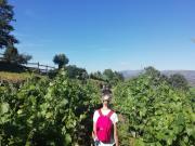 Top Arcos de Valdevez