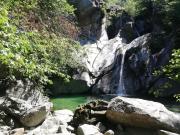 Top Osogna Top Osogna