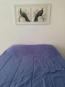 Top Papudo Top Papudo