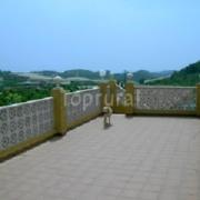 Top Callosa de Ensarriá