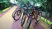 Top Palolem