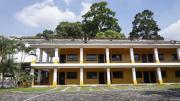 Top Ceiba Blanca