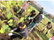 Top Kikuchi Top Kikuchi